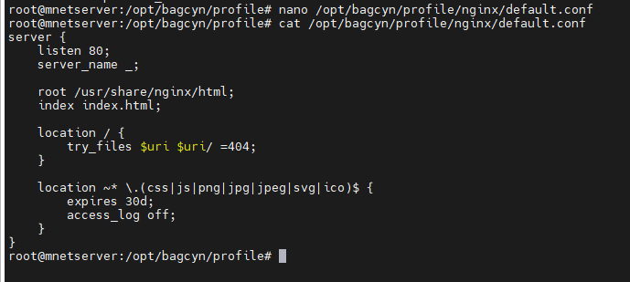 membuat website profil teknisi jaringan