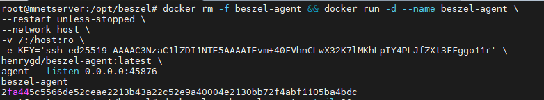 install beszel docker